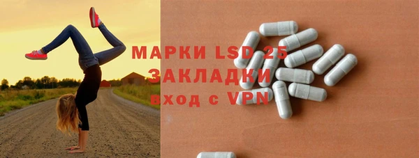 шишки Медногорск