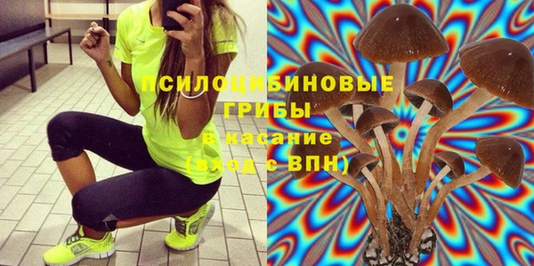 дмт Алексеевка