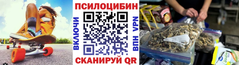 Галлюциногенные грибы Cubensis  закладки  Серов 