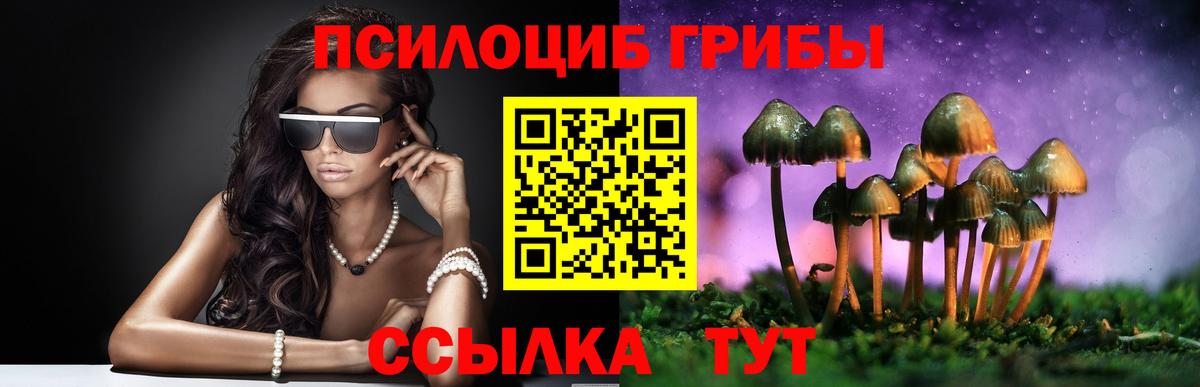 закладки  Псилоцибиновые грибы Cubensis  Вход с VPN  Серов 